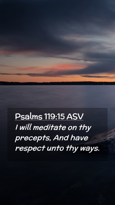 Picture 02 - Psalms 119:15 ASV Mobile Phone Wallpaper - I will meditate on thy precepts, And have respect - Mobile Bible Verse Wallpaper