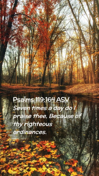 Picture 02 - Psalms 119:164 ASV Mobile Phone Wallpaper - Seven times a day do I praise thee, Because of - Mobile Bible Verse Wallpaper