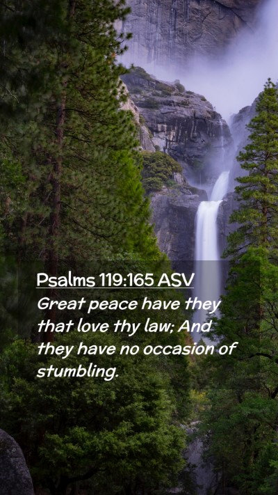 Picture 02 - Psalms 119:165 ASV Mobile Phone Wallpaper - Great peace have they that love thy law; And they - Mobile Bible Verse Wallpaper