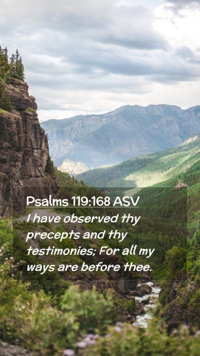 Picture 02 - Psalms 119:168 ASV Mobile Phone Wallpaper - I have observed thy precepts and thy testimonies; - Mobile Bible Verse Wallpaper