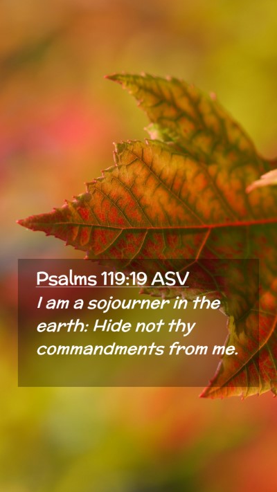 Picture 02 - Psalms 119:19 ASV Mobile Phone Wallpaper - I am a sojourner in the earth: Hide not thy - Mobile Bible Verse Wallpaper