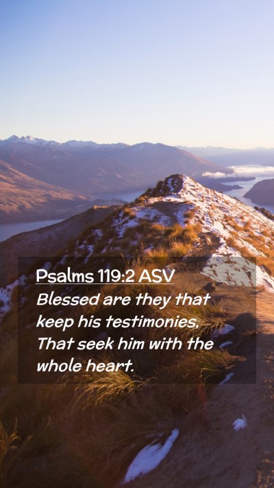 Picture 02 - Psalms 119:2 ASV Mobile Phone Wallpaper - Blessed are they that keep his testimonies, That - Mobile Bible Verse Wallpaper