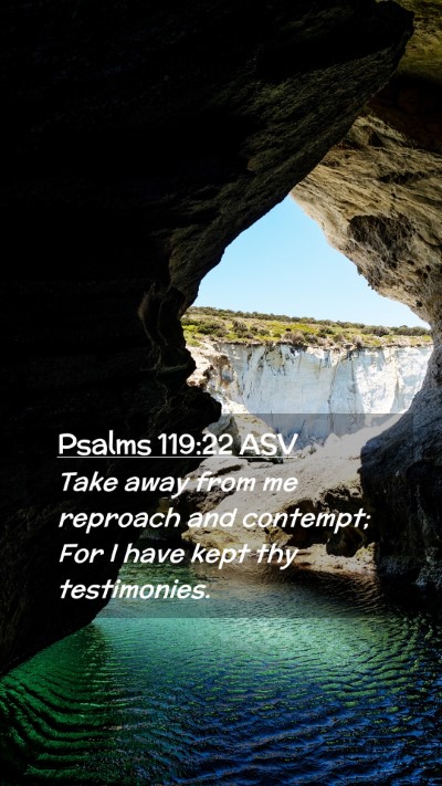 Picture 02 - Psalms 119:22 ASV Mobile Phone Wallpaper - Take away from me reproach and contempt; For I - Mobile Bible Verse Wallpaper