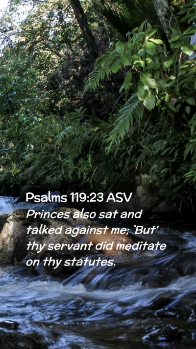 Picture 02 - Psalms 119:23 ASV Mobile Phone Wallpaper - Princes also sat and talked against me; `But' thy - Mobile Bible Verse Wallpaper