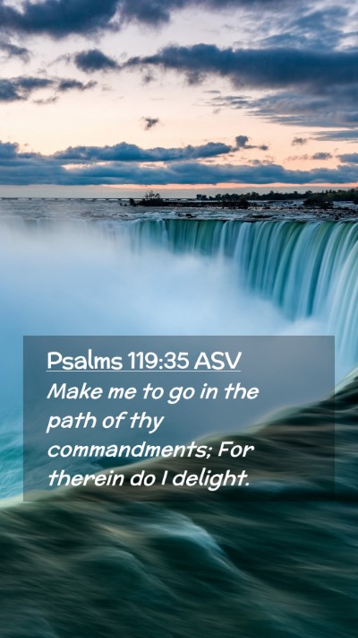 Picture 02 - Psalms 119:35 ASV Mobile Phone Wallpaper - Make me to go in the path of thy commandments; - Mobile Bible Verse Wallpaper
