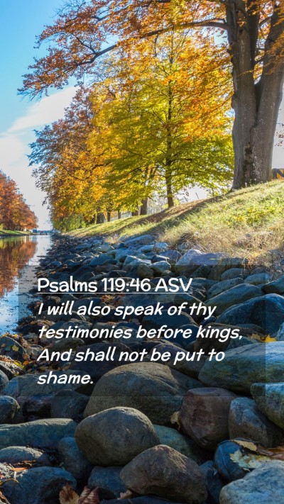 Picture 02 - Psalms 119:46 ASV Mobile Phone Wallpaper - I will also speak of thy testimonies before - Mobile Bible Verse Wallpaper