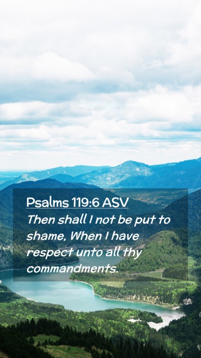 Picture 02 - Psalms 119:6 ASV Mobile Phone Wallpaper - Then shall I not be put to shame, When I have - Mobile Bible Verse Wallpaper