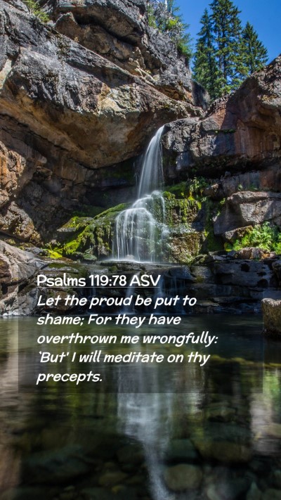 Picture 02 - Psalms 119:78 ASV Mobile Phone Wallpaper - Let the proud be put to shame; For they have - Mobile Bible Verse Wallpaper