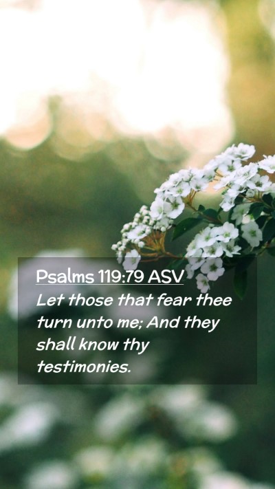 Picture 02 - Psalms 119:79 ASV Mobile Phone Wallpaper - Let those that fear thee turn unto me; And they - Mobile Bible Verse Wallpaper