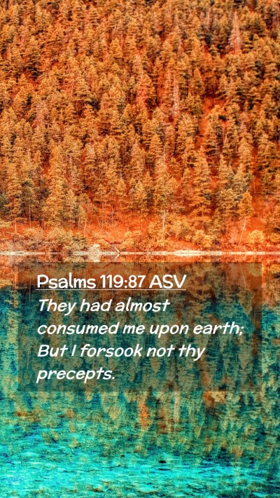 Picture 02 - Psalms 119:87 ASV Mobile Phone Wallpaper - They had almost consumed me upon earth; But I - Mobile Bible Verse Wallpaper