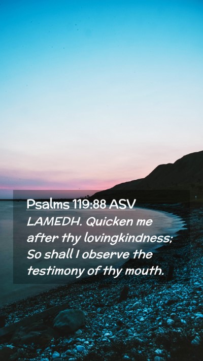 Picture 02 - Psalms 119:88 ASV Mobile Phone Wallpaper - LAMEDH. Quicken me after thy lovingkindness; So - Mobile Bible Verse Wallpaper