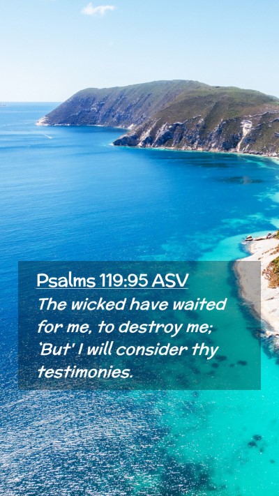 Picture 02 - Psalms 119:95 ASV Mobile Phone Wallpaper - The wicked have waited for me, to destroy me; - Mobile Bible Verse Wallpaper
