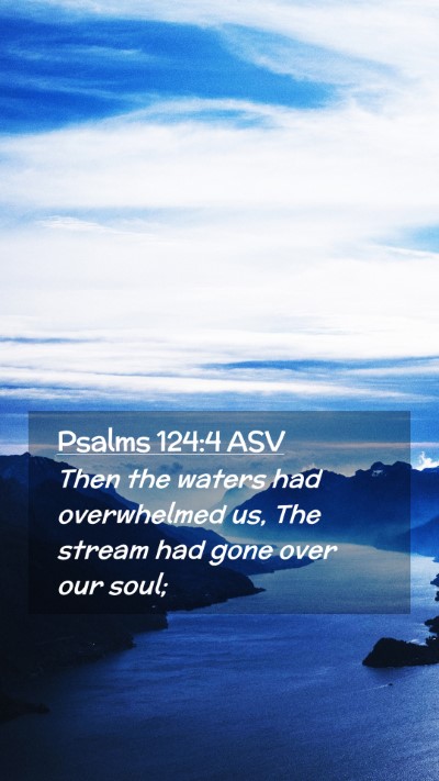 Picture 02 - Psalms 124:4 ASV Mobile Phone Wallpaper - Then the waters had overwhelmed us, The stream - Mobile Bible Verse Wallpaper