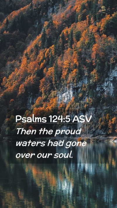 Picture 02 - Psalms 124:5 ASV Mobile Phone Wallpaper - Then the proud waters had gone over our - Mobile Bible Verse Wallpaper
