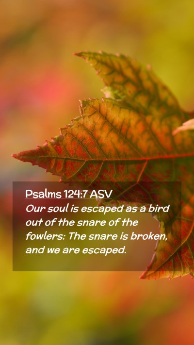Picture 02 - Psalms 124:7 ASV Mobile Phone Wallpaper - Our soul is escaped as a bird out of the snare of - Mobile Bible Verse Wallpaper