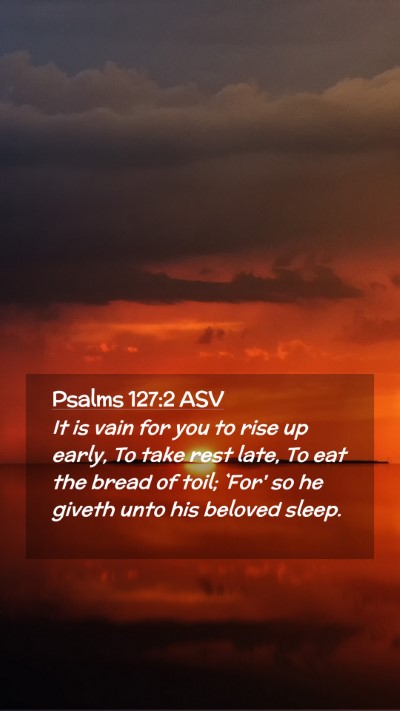 Picture 02 - Psalms 127:2 ASV Mobile Phone Wallpaper - It is vain for you to rise up early, To take rest - Mobile Bible Verse Wallpaper