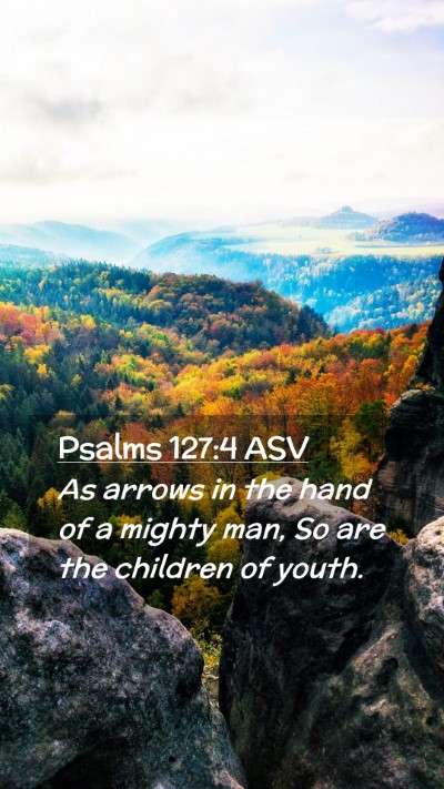 Picture 02 - Psalms 127:4 ASV Mobile Phone Wallpaper - As arrows in the hand of a mighty man, So are the - Mobile Bible Verse Wallpaper
