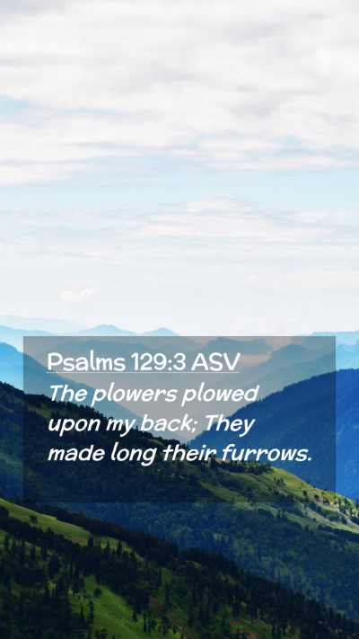 Picture 02 - Psalms 129:3 ASV Mobile Phone Wallpaper - The plowers plowed upon my back; They made long - Mobile Bible Verse Wallpaper