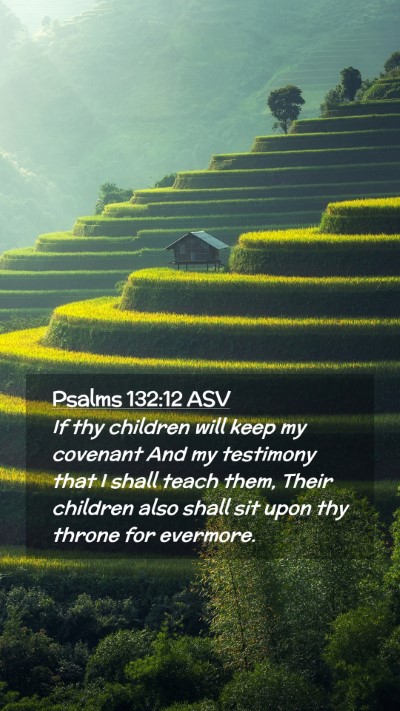 Picture 02 - Psalms 132:12 ASV Mobile Phone Wallpaper - If thy children will keep my covenant And my - Mobile Bible Verse Wallpaper