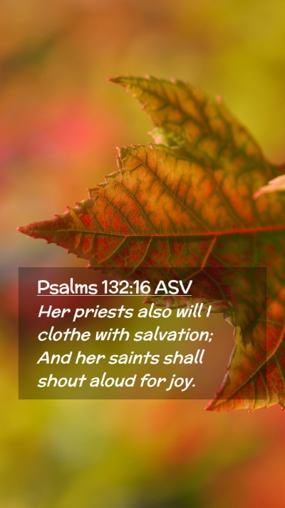 Picture 02 - Psalms 132:16 ASV Mobile Phone Wallpaper - Her priests also will I clothe with salvation; - Mobile Bible Verse Wallpaper