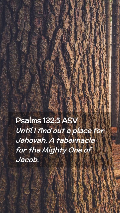 Picture 02 - Psalms 132:5 ASV Mobile Phone Wallpaper - Until I find out a place for Jehovah, A - Mobile Bible Verse Wallpaper