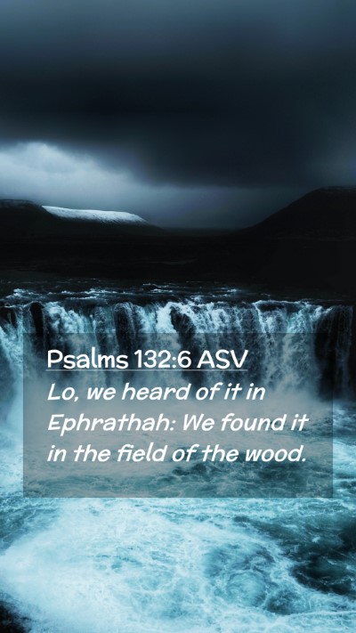 Picture 02 - Psalms 132:6 ASV Mobile Phone Wallpaper - Lo, we heard of it in Ephrathah: We found it in - Mobile Bible Verse Wallpaper