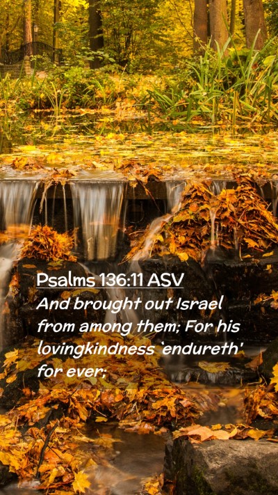 Picture 02 - Psalms 136:11 ASV Mobile Phone Wallpaper - And brought out Israel from among them; For his - Mobile Bible Verse Wallpaper