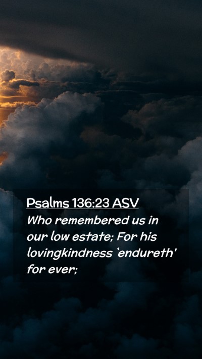 Picture 02 - Psalms 136:23 ASV Mobile Phone Wallpaper - Who remembered us in our low estate; For his - Mobile Bible Verse Wallpaper