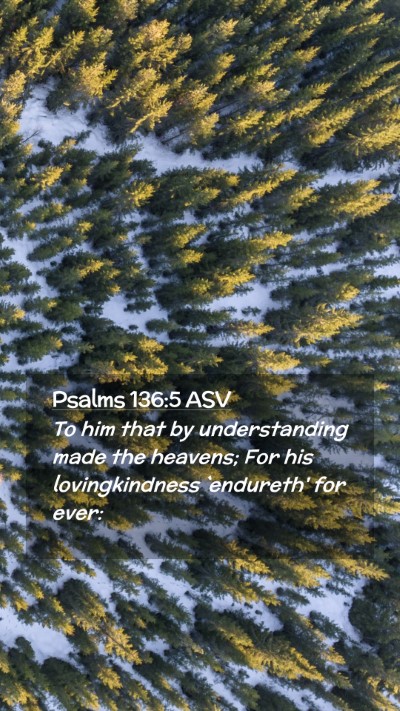 Picture 02 - Psalms 136:5 ASV Mobile Phone Wallpaper - To him that by understanding made the heavens; - Mobile Bible Verse Wallpaper