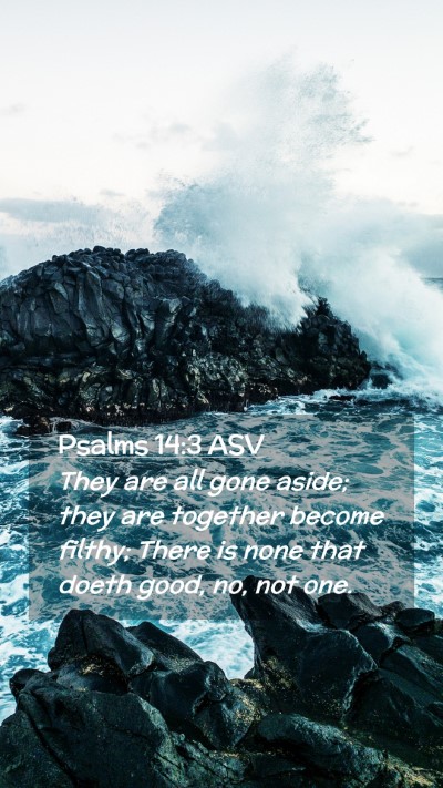 Picture 02 - Psalms 14:3 ASV Mobile Phone Wallpaper - They are all gone aside; they are together become - Mobile Bible Verse Wallpaper