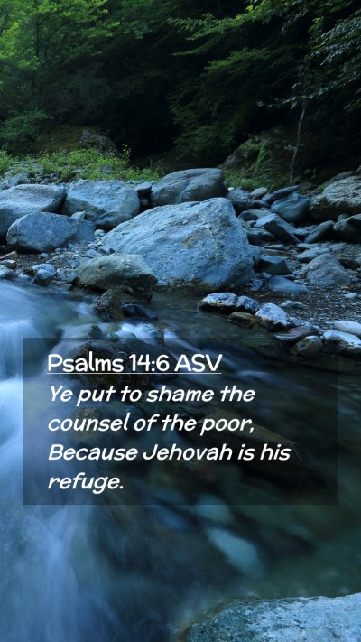 Picture 02 - Psalms 14:6 ASV Mobile Phone Wallpaper - Ye put to shame the counsel of the poor, Because - Mobile Bible Verse Wallpaper