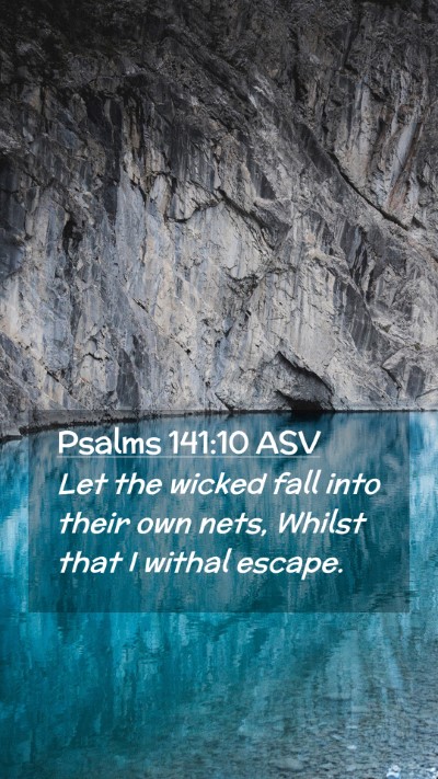 Picture 02 - Psalms 141:10 ASV Mobile Phone Wallpaper - Let the wicked fall into their own nets, Whilst - Mobile Bible Verse Wallpaper