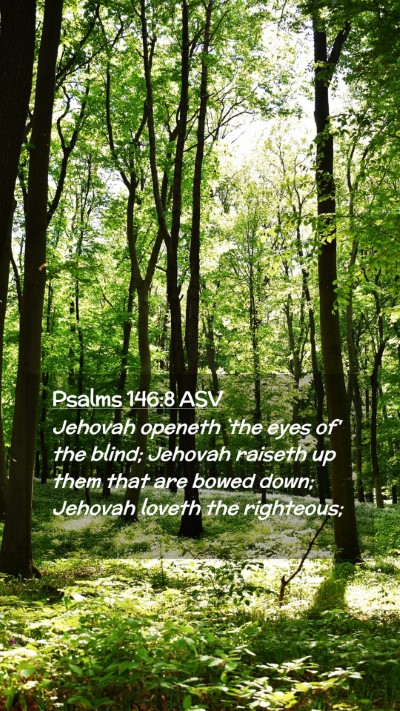 Picture 02 - Psalms 146:8 ASV Mobile Phone Wallpaper - Jehovah openeth `the eyes of' the blind; Jehovah - Mobile Bible Verse Wallpaper