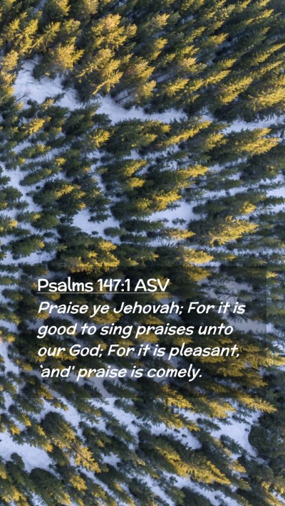 Picture 02 - Psalms 147:1 ASV Mobile Phone Wallpaper - Praise ye Jehovah; For it is good to sing praises - Mobile Bible Verse Wallpaper
