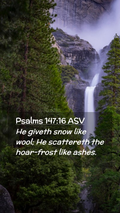 Picture 02 - Psalms 147:16 ASV Mobile Phone Wallpaper - He giveth snow like wool; He scattereth the - Mobile Bible Verse Wallpaper
