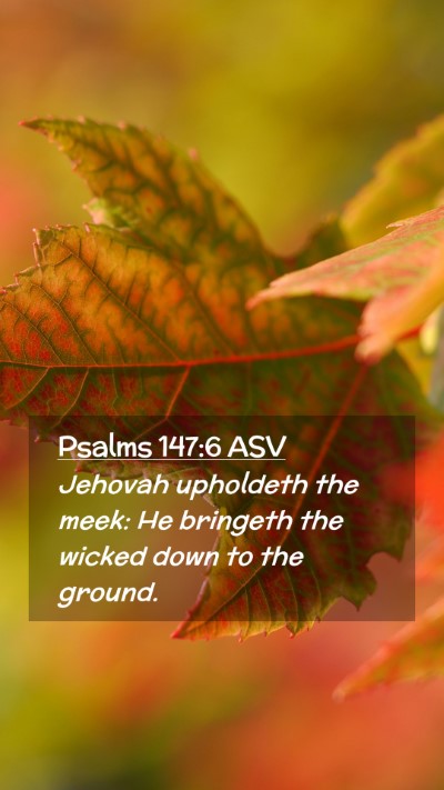 Picture 02 - Psalms 147:6 ASV Mobile Phone Wallpaper - Jehovah upholdeth the meek: He bringeth the - Mobile Bible Verse Wallpaper