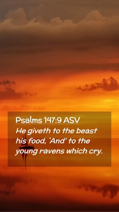 Picture 02 - Psalms 147:9 ASV Mobile Phone Wallpaper - He giveth to the beast his food, `And' to the - Mobile Bible Verse Wallpaper