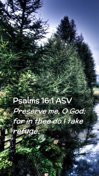 Picture 02 - Psalms 16:1 ASV Mobile Phone Wallpaper - Preserve me, O God; for in thee do I take - Mobile Bible Verse Wallpaper