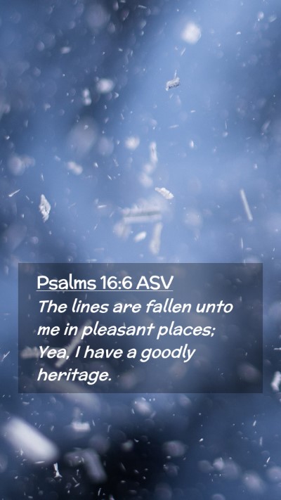Picture 02 - Psalms 16:6 ASV Mobile Phone Wallpaper - The lines are fallen unto me in pleasant places; - Mobile Bible Verse Wallpaper