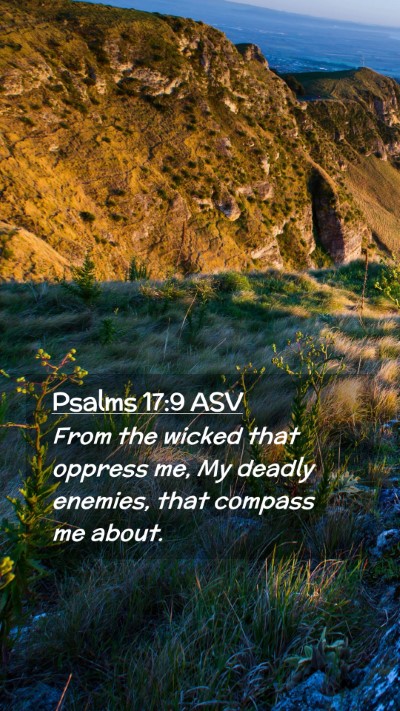 Picture 02 - Psalms 17:9 ASV Mobile Phone Wallpaper - From the wicked that oppress me, My deadly - Mobile Bible Verse Wallpaper