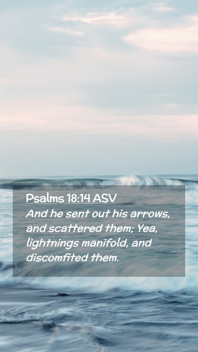 Picture 02 - Psalms 18:14 ASV Mobile Phone Wallpaper - And he sent out his arrows, and scattered them; - Mobile Bible Verse Wallpaper