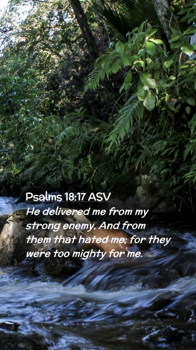 Picture 02 - Psalms 18:17 ASV Mobile Phone Wallpaper - He delivered me from my strong enemy, And from - Mobile Bible Verse Wallpaper