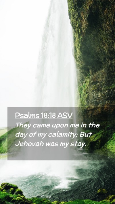 Picture 02 - Psalms 18:18 ASV Mobile Phone Wallpaper - They came upon me in the day of my calamity; But - Mobile Bible Verse Wallpaper