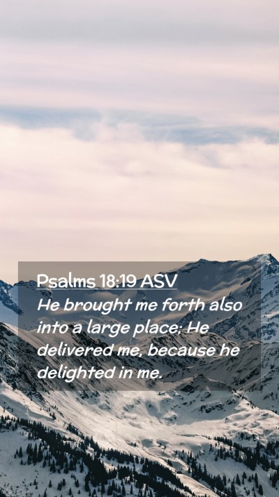 Picture 02 - Psalms 18:19 ASV Mobile Phone Wallpaper - He brought me forth also into a large place; He - Mobile Bible Verse Wallpaper
