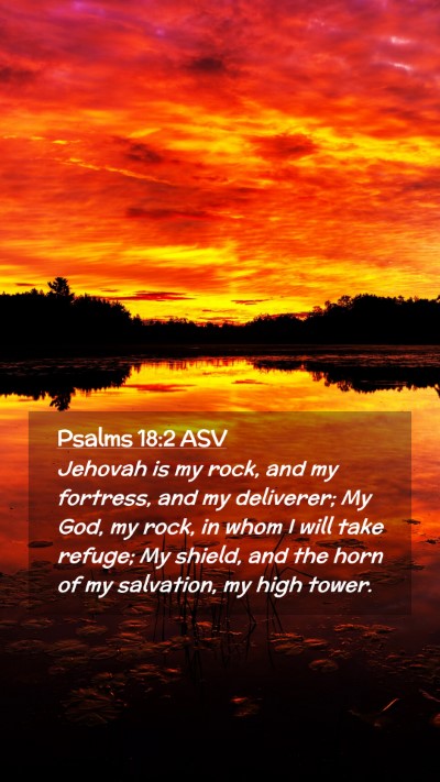 Picture 02 - Psalms 18:2 ASV Mobile Phone Wallpaper - Jehovah is my rock, and my fortress, and my - Mobile Bible Verse Wallpaper