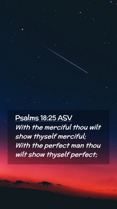 Picture 02 - Psalms 18:25 ASV Mobile Phone Wallpaper - With the merciful thou wilt show thyself - Mobile Bible Verse Wallpaper