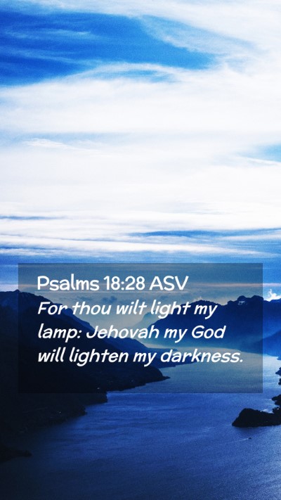 Picture 02 - Psalms 18:28 ASV Mobile Phone Wallpaper - For thou wilt light my lamp: Jehovah my God will - Mobile Bible Verse Wallpaper
