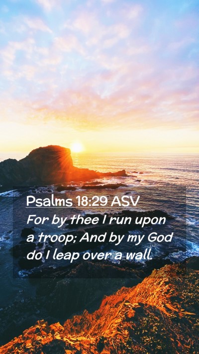 Picture 02 - Psalms 18:29 ASV Mobile Phone Wallpaper - For by thee I run upon a troop; And by my God do - Mobile Bible Verse Wallpaper