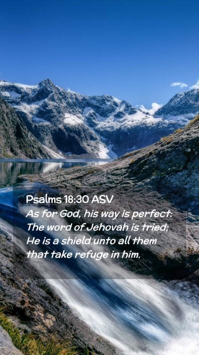 Picture 02 - Psalms 18:30 ASV Mobile Phone Wallpaper - As for God, his way is perfect: The word of - Mobile Bible Verse Wallpaper