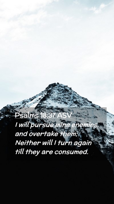 Picture 02 - Psalms 18:37 ASV Mobile Phone Wallpaper - I will pursue mine enemies, and overtake them; - Mobile Bible Verse Wallpaper